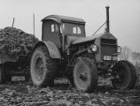 Začátek skvělého příběhu: V roce 1928 vyrábí společnost Continental pneumatiku T2 AS. Pneumatika pro zemědělský traktor je první pneumatikou v Evropě.