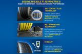 Goodyear Eagle F1 Asymmetric 6 info 2