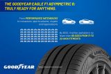 Goodyear Eagle F1 Asymmetric 6 info 4