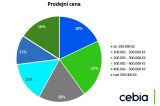 Cebia Summary 1