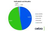 Cebia Summary 2