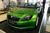 Arkady Skoda Fabia S2000 Cabrio 2011