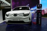 Drivalia as